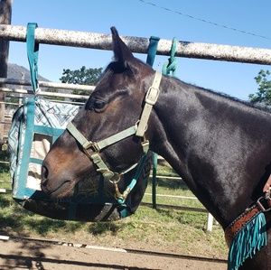 Meet your Posher, Tara